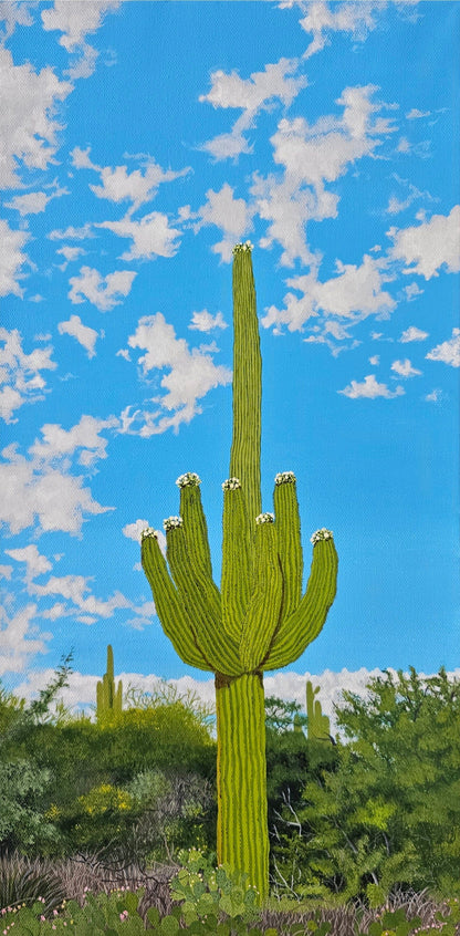 Blooming Saguaro