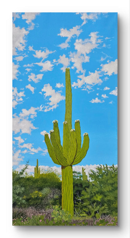 Blooming Saguaro