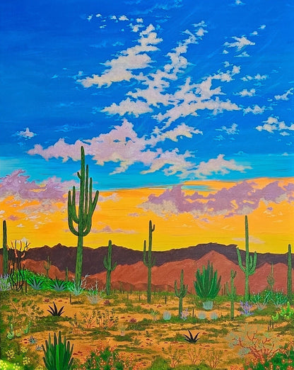 Sonoran Desert Sunset